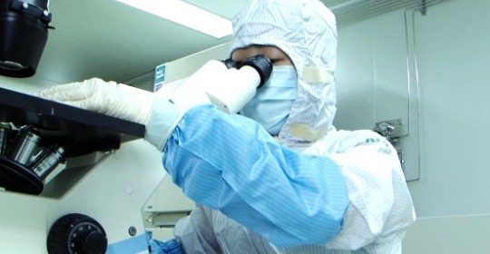 K Stem Cell’s Stem Cell Technologies: First Step towards Entering the Japanese Regenerative Medicine Market