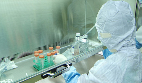 Illegal Technology Leaks of Korean Developmental Stem Cells in Japan